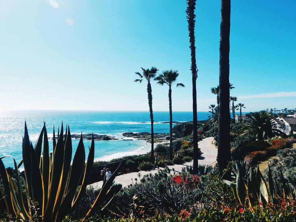 Beautiful view of the California coastline featuring agave plants and palm trees against a blue ocean backdrop.